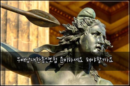 ๋ฌด๋ฐฐ๋น๋ํ์ข
์ ๋ณดํ ์ค๋นํ์ธ์ ํด์ผํ ๊น์
