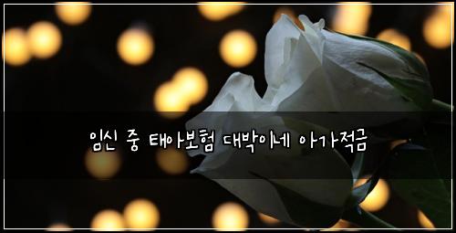 ์์ ์ค ํ์๋ณดํ ๋๋ฐ์ด๋ค ์๊ฐ์ ๊ธ