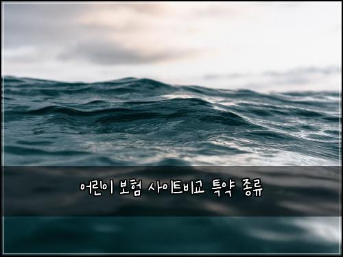 어린이 보험 사이트비교  특약 종류