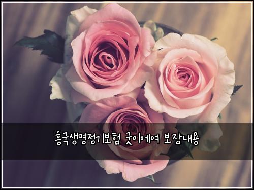흥국생명정기보험 굿이에여  보장내용