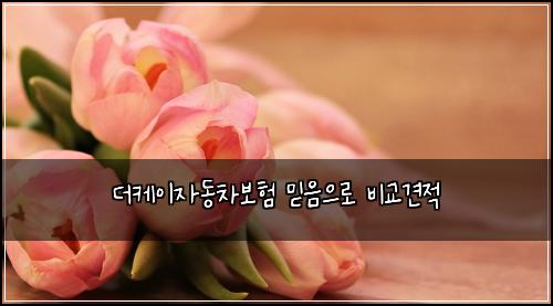 ๋์ผ์ด์๋์ฐจ๋ณดํ ๋ฏฟ์์ผ๋ก ๋น๊ต๊ฒฌ์ 