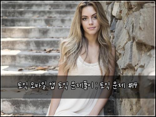 토익 모바일 앱 토익 문제풀이 : 토익 문제 #14