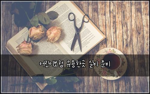 어린이보험 유용한곳  실비 준비
