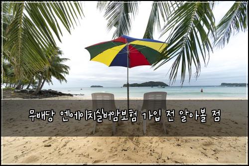무배당 엔에이치실버암보험 가입 전 알아볼 점