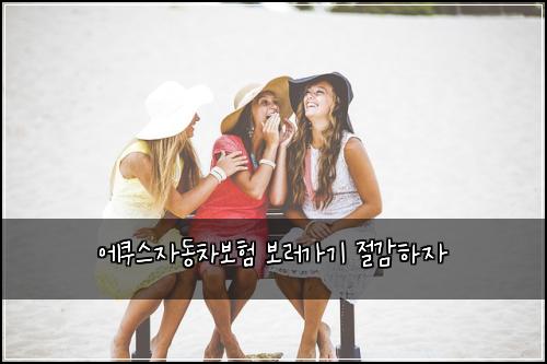 ์์ฟ ์ค์๋์ฐจ๋ณดํ ๋ณด๋ฌ๊ฐ๊ธฐ ์ ๊ฐํ์
