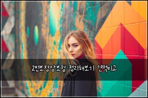 2번보장암보험 정리해보기  견적비교