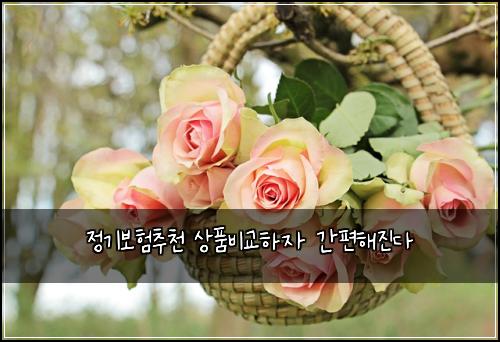정기보험추천 상품비교하자 간편해진다