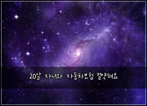 20์ด ์๋
์ ์๋์ฐจ๋ณดํ ์ ์ฝํด์