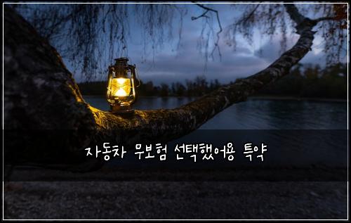 μλμ°¨ 무보ν μ ννμ΄μ© νΉμ½