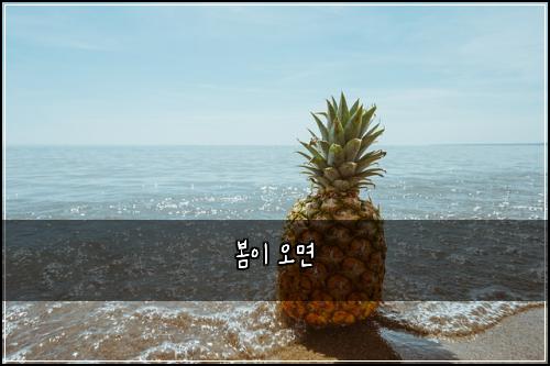 봄이 오면