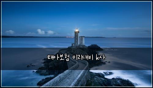 ํ์๋ณดํ ๋ฏธ๋ฆฌ๋๋น k์ฌ