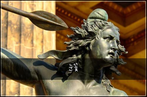 눈꽃