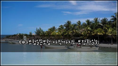 태아보험실손보험 아직까지도 보장확실히