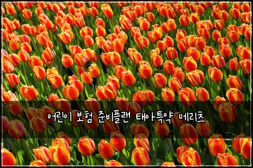 어린이 보험 준비플랜  태아특약 메리츠