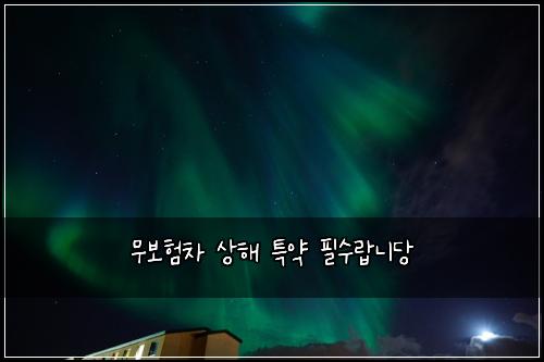 무보험차 상해 특약 필수랍니당