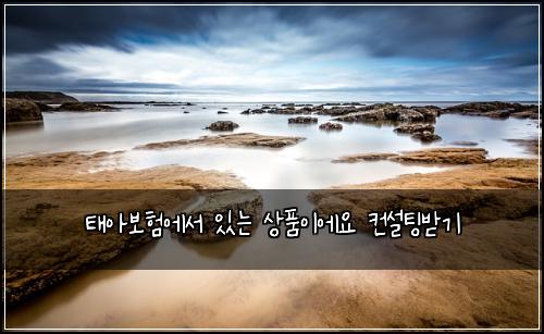 태아보험에서 있는 상품이에요 컨설팅받기