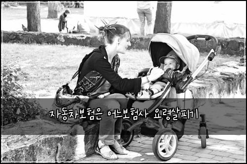 ์๋์ฐจ๋ณดํ์ ์ด๋๋ณดํ์ฌ ์๋ น์ดํผ๊ธฐ