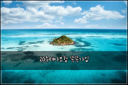 20์ฃผํ์๋ณดํ ๋๋๊ฐ์