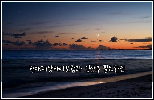 현대해상태아보험과 임산부 필요한점