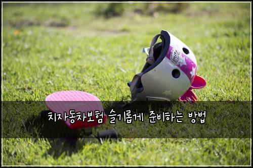 치자동차보험 슬기롭게 준비하는 방법