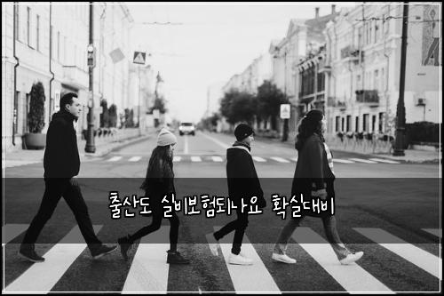 μΆμ°λ μ€λΉλ³΄νλλμ νμ€λλΉ