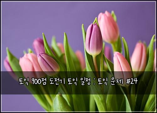 토익 900점 도전기 토익 일정 : 토익 문제 #24