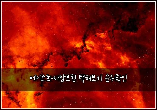 에이스화재암보험 택해보기  순위확인
