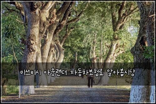 ๋ฏธ์ฐ๋น์ ์์๋๋ ์๋์ฐจ๋ณดํ๋ฃ ์์๋ด
์๋น