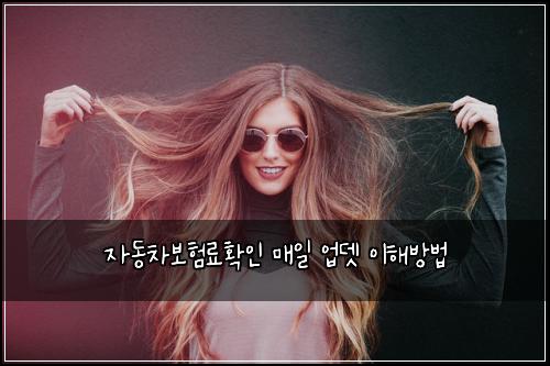์๋์ฐจ๋ณดํ๋ฃํ์ธ ๋งค์ผ ์
๋ ์ดํด๋ฐฉ๋ฒ