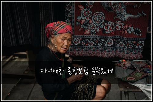 자녀애찬 종합보험 실속있게 