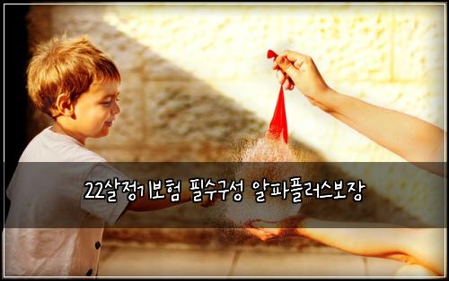 22살정기보험 필수구성  알파플러스보장