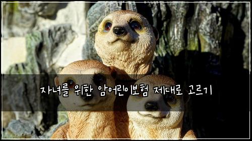 자녀를 위한 암어린이보험 제대로 고르기