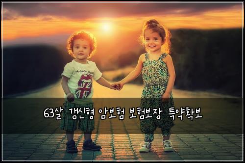 63살 갱신형 암보험 보험보장 특약확보