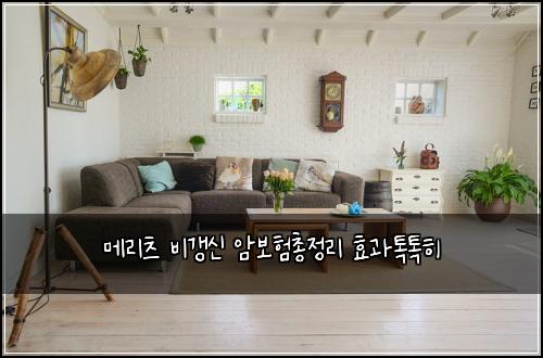 메리츠 비갱신 암보험총정리 효과톡톡히