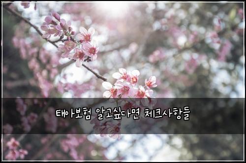 태아보험 알고싶다면  체크사항들