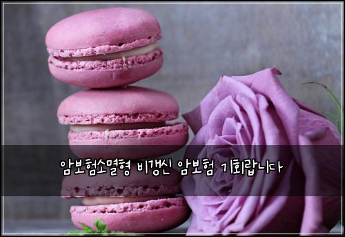 ์๋ณดํ์๋ฉธํ ๋น๊ฐฑ์ ์๋ณดํ ๊ธฐํ๋๋๋ค
