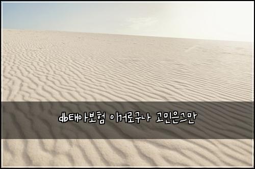 dbํ์๋ณดํ ์ด๊ฑฐ๋ก๊ตฌ๋ ๊ณ ๋ฏผ์๊ทธ๋ง
