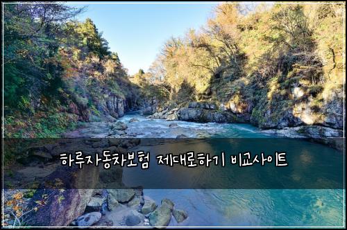 하루자동차보험 제대로하기  비교사이트
