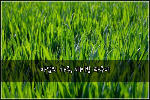 마법의 가루, 베이킹 파우더