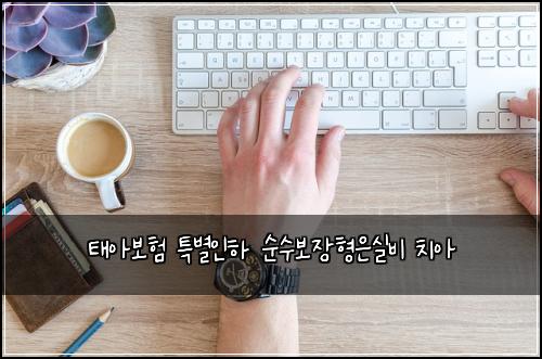 태아보험 특별인하  순수보장형은실비 치아