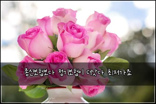 ์ข
์ ๋ณดํ๋ณด๋ค ์ ๊ธฐ๋ณดํ์ด ๋๋ซ๋ค ์ต์ ๊ฐ์ฃ