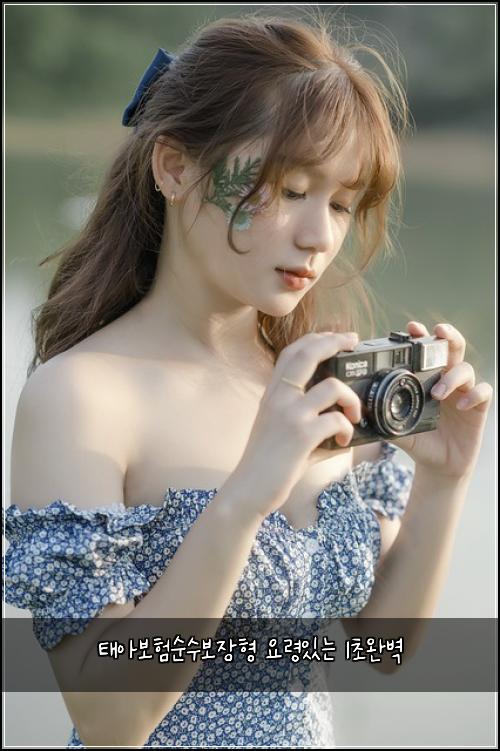ํ์๋ณดํ์์๋ณด์ฅํ ์๋ น์๋ 1์ด์๋ฒฝ