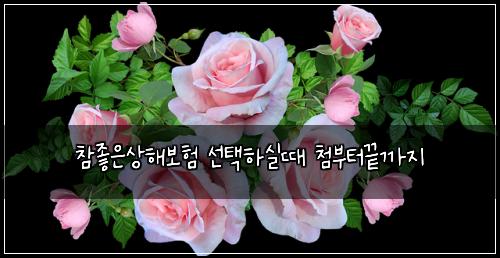 ์ฐธ์ข์์ํด๋ณดํ ์ ํํ์ค๋ ์ฒจ๋ถํฐ๋๊น์ง