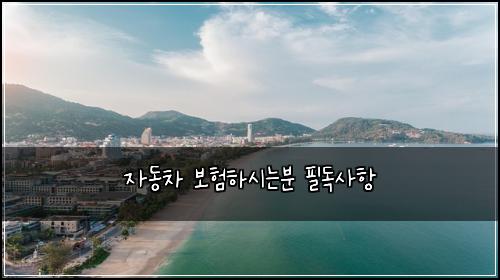 자동차 보험하시는분 필독사항