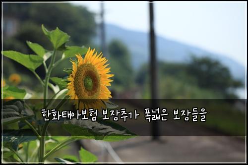 한화태아보험 보장추가  폭넓은 보장들을