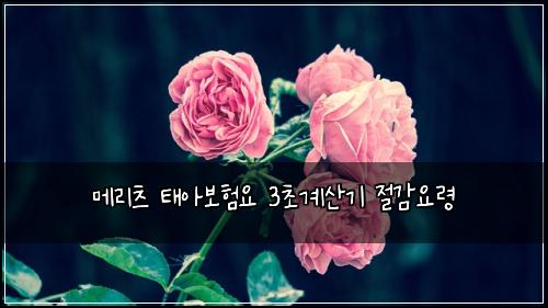 ๋ฉ๋ฆฌ์ธ ํ์๋ณดํ์ 3์ด๊ณ์ฐ๊ธฐ ์ ๊ฐ์๋ น