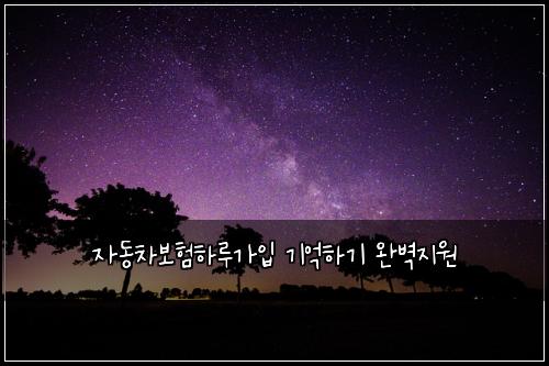 자동차보험하루가입 기억하기 완벽지원