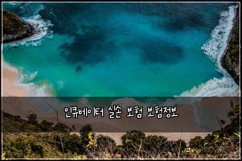 인큐베이터 실손 보험 보험정보 
