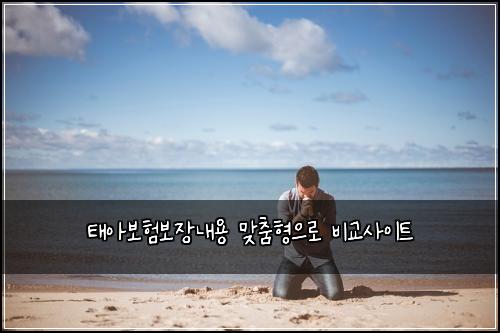 태아보험보장내용 맞춤형으로 비교사이트
