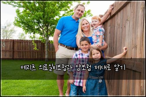 메리츠 의료실비보험과 암보험 제대로 알기
